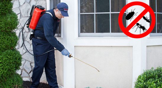Kaynaklar Böcek ve Haşere İlaçlama böcek ilaçlama ve haşere kontrolü — ilaclama-tr.com